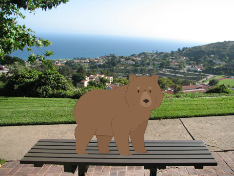 Bear goes to the park