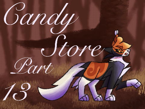 Candy Store || 13