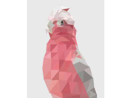 Galah Polyart