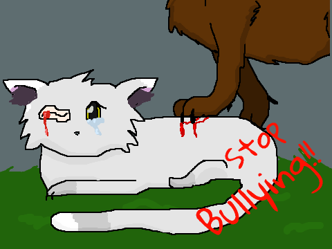 Cat CCE :T