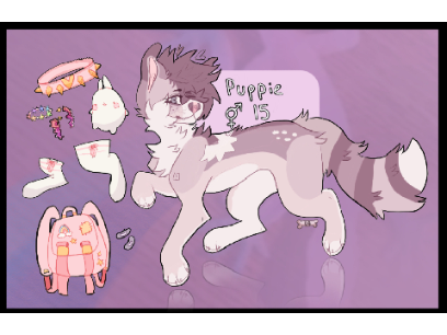 + 。*；。puppie 。；*。+