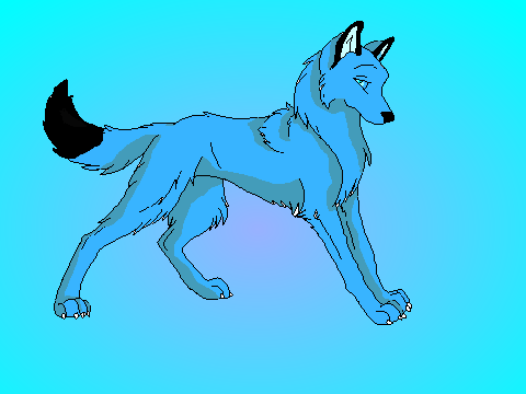  Wolf Coloring contest remix
