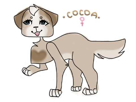 New style + oc??