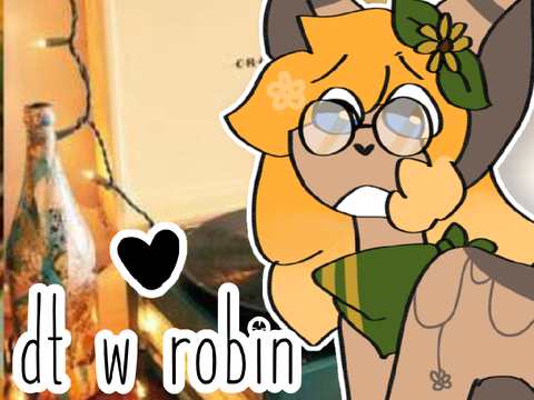 dt w robin ♥