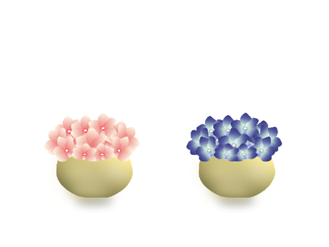 Orchids | CWER3