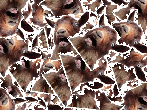 Many Screaming Goats