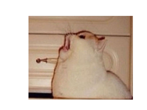 images on my computer