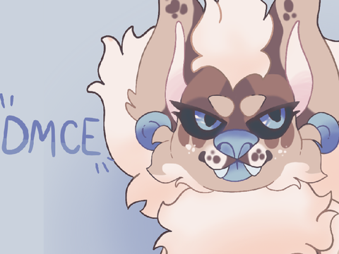DMCE - Popki and Aspen
