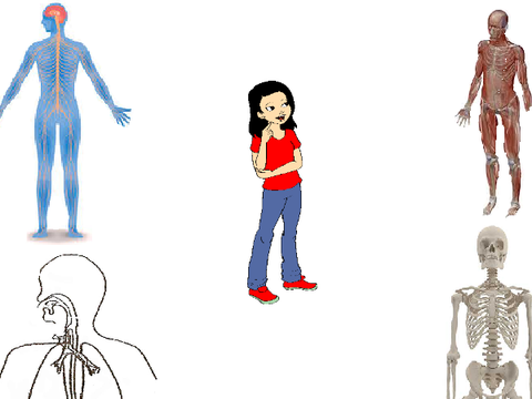 Body remix by sherry