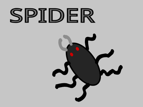 Spider