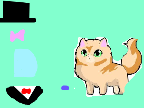 Decorate the cat!