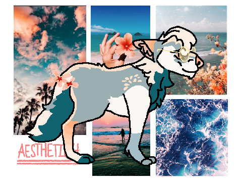 |Supe A E S T H E T I C| 