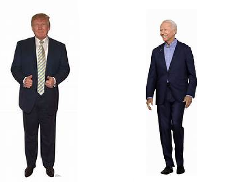 Presidential election in a nutshell