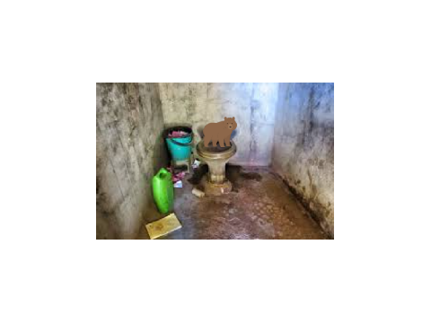 Bear has a mondo in the public bathroom