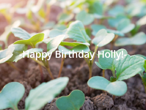 HAPPY B-DAY HOLLY!!