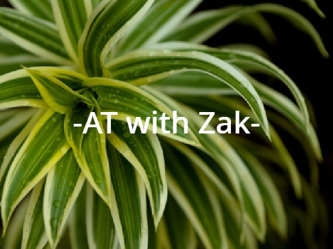 Zak AT