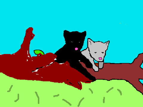 Two wolves