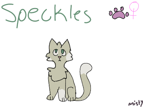 New main oc 