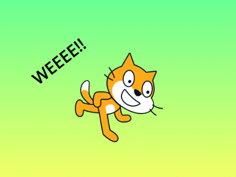 waste of time spinning cat...