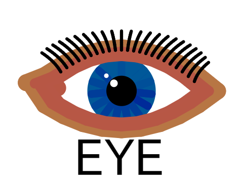 pen eye