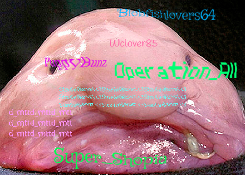 Sign here if your against blobfish hunting remix remix remix remix remix remix