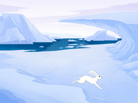 Finding Home 