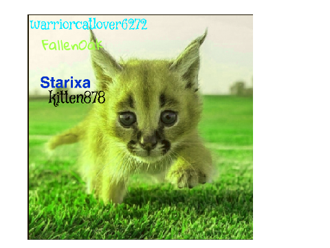 Sign here if you're against Caracal hunting! remix remix remix remix