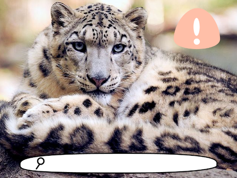 ♡Search Animals-Pictures License-Free♡