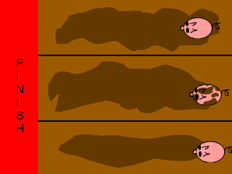 pig racing