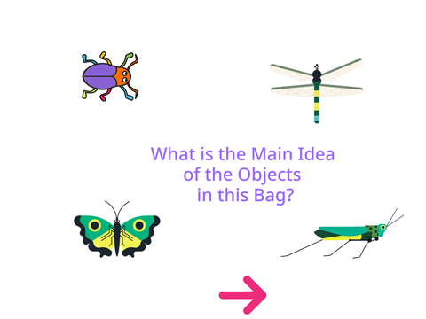 Main Idea - It's in the Bag Example