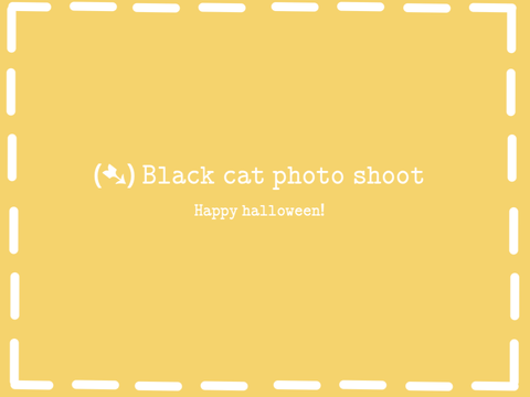 (➷) Black cat photo shoot 
