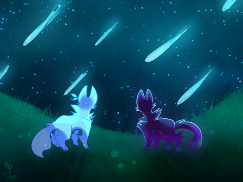 meteor shower // art/gift?