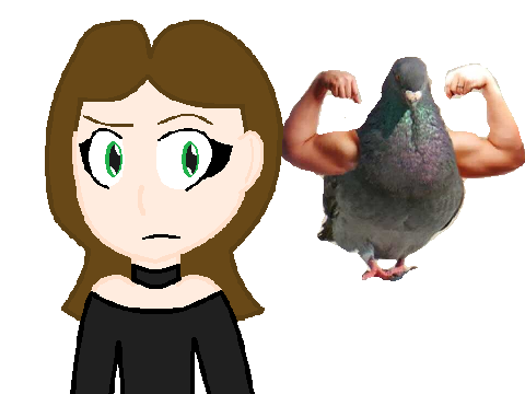 buff pigeons be like