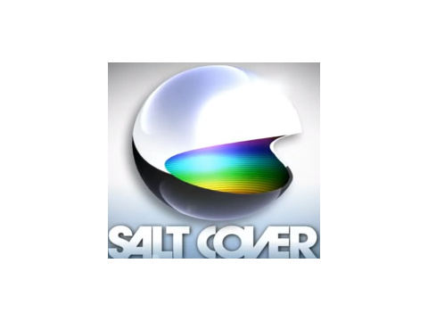 Remix and Ruin Salt Cover!