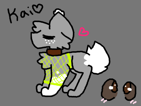 ||Kai REF Design 2020||