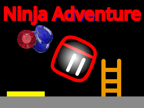 Ninja Adventure!
