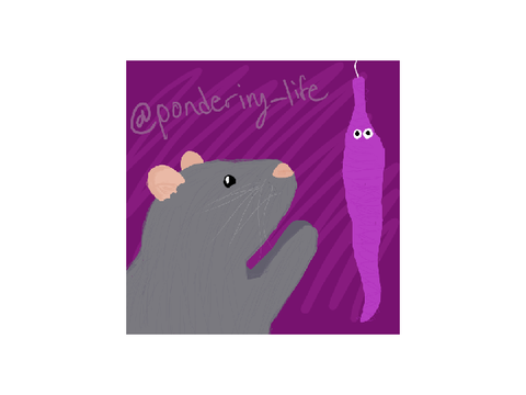 new pfp