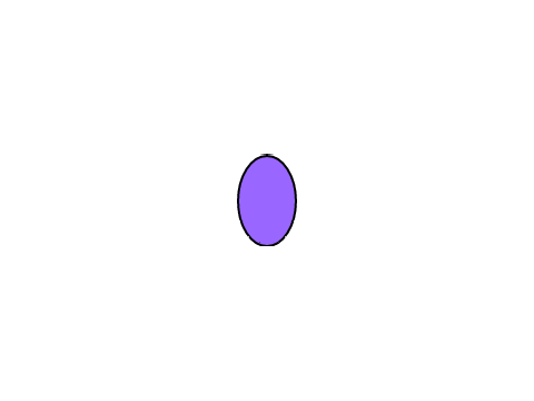 simulator