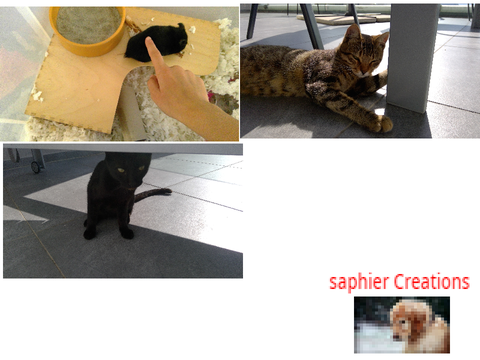 our pets!
