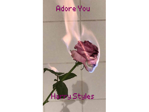 Adore You - Harry Styles 
