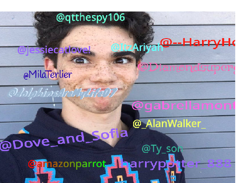Remix If You Miss Cameron Boyce remix