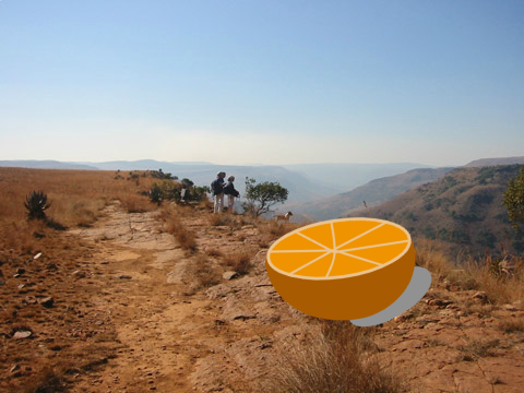 Gerald the Spinning Orange: Goes to the Grand Canyon