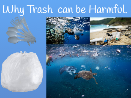 Why Plastic is Harmful.