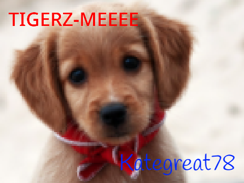 Stop animal abuse!!!!! Sign if you care :) remix