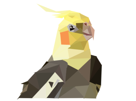 Cockatiel Polyart