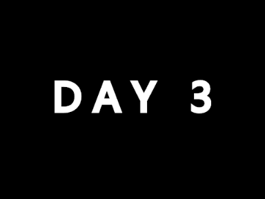 day 3 log