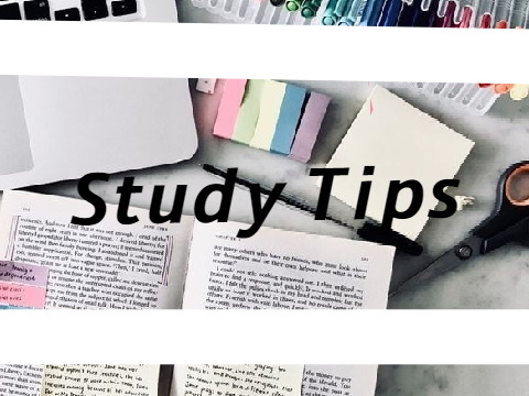 Study Tips✎