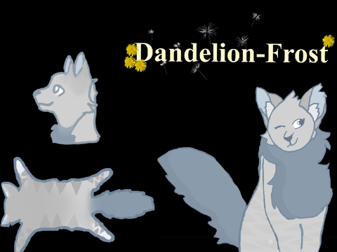 Dandelion-Frost
