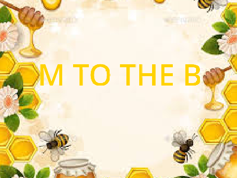 m to the b