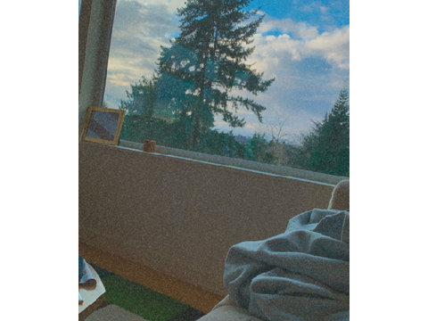 ☁️ photography contest - a collab with @pap3r-duckiis